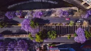 Hoy No Circula: ¿Qué autos NO circulan el lunes 9 de junio de 2025 en CDMX y EDOMEX?