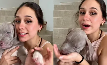 VIDEO: Aerolínea entrega cachorro que no era suyo y se vuelve viral en redes